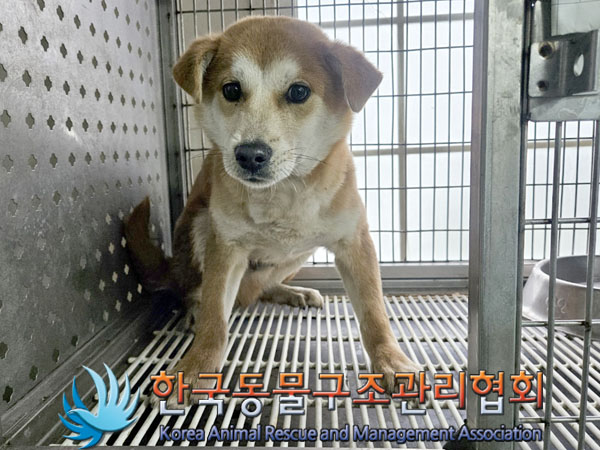 한국동물구조관리협회_441414202400003