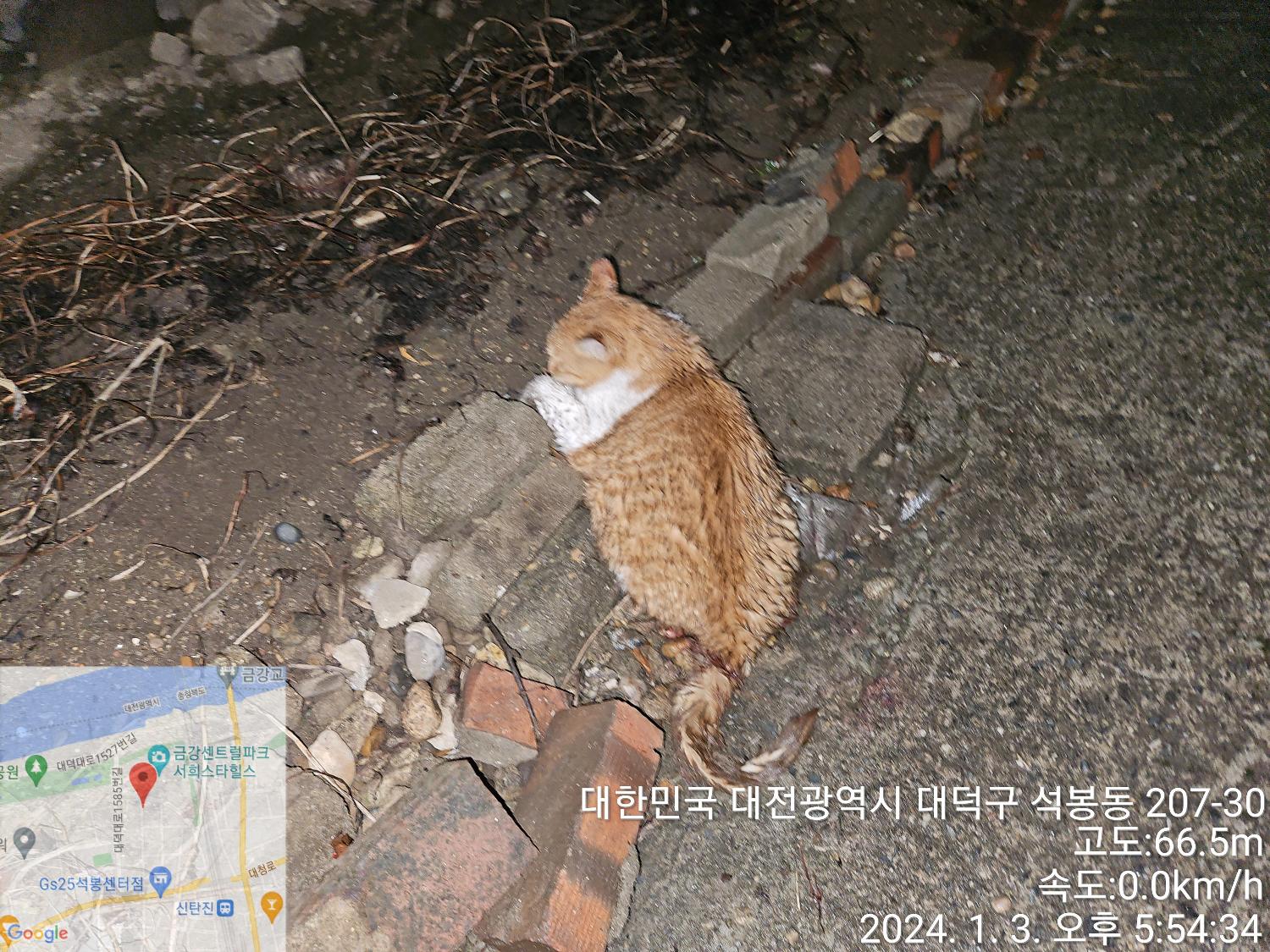 종료(자연사) 한국…