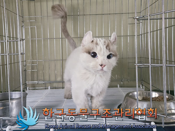 종료(입양) 먼치킨…
