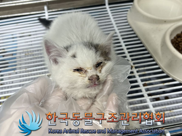 종료(자연사) 한국…