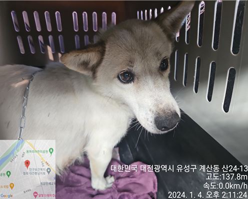 종료(자연사) 믹스…