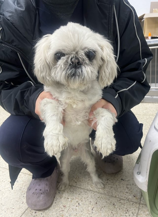 반려동물보호센터_443571202400017
