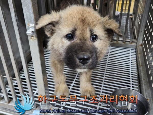 종료(자연사) 믹스…