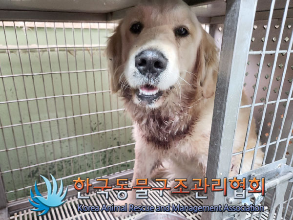 한국동물구조관리협회_441560202400009