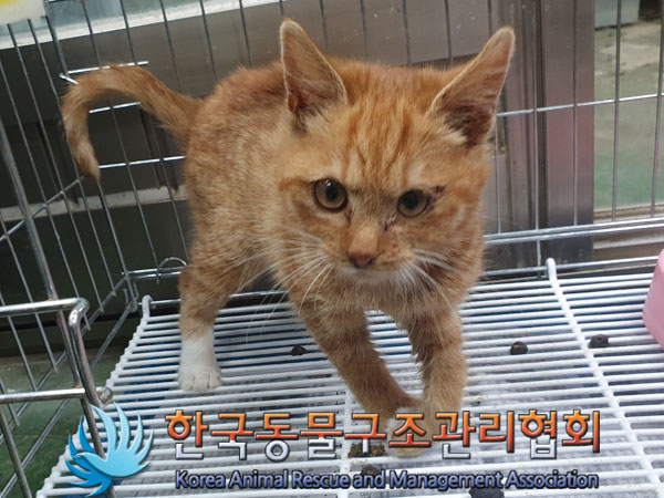 종료(자연사) 한국…