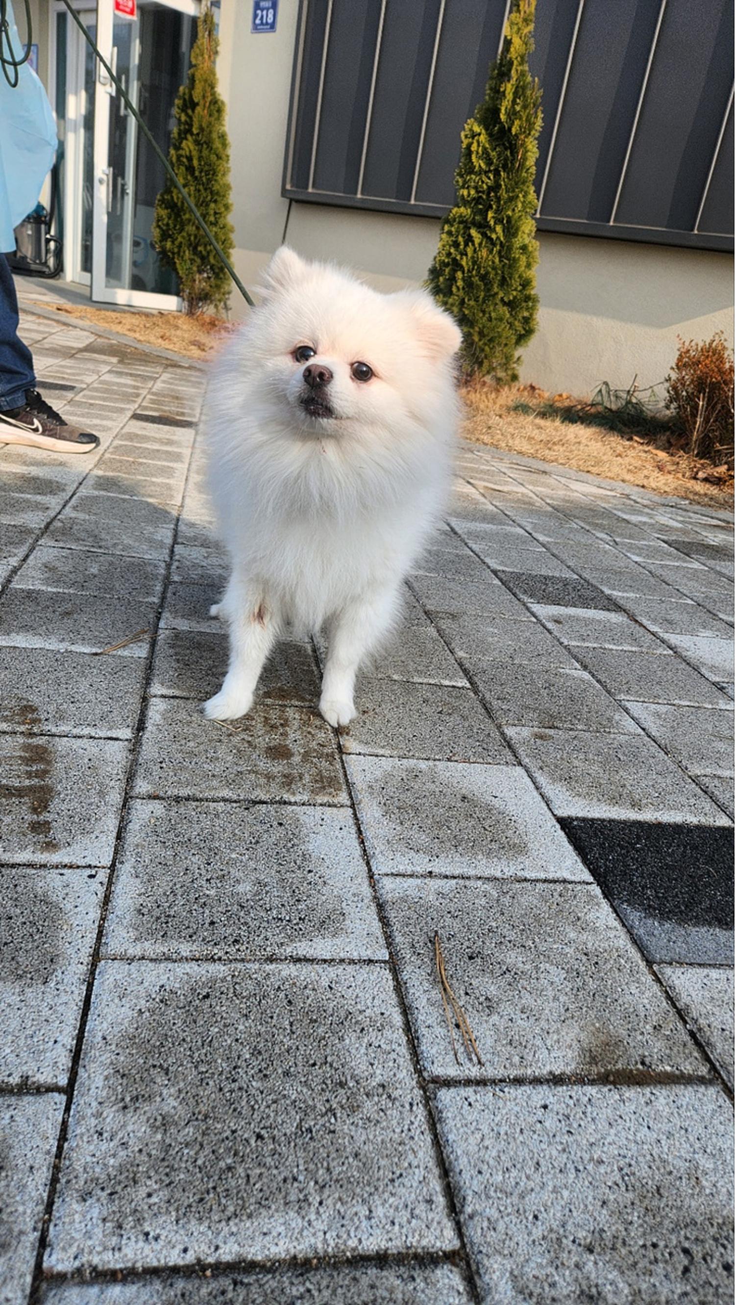 시흥동물누리보호센터_441401202400013