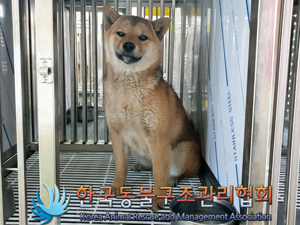 종료(자연사) 시바…