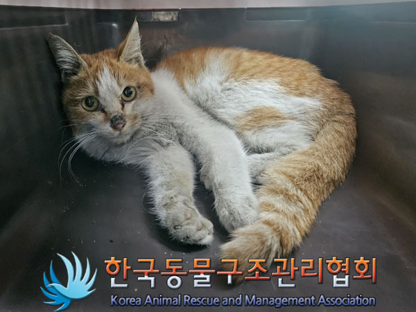 종료(자연사) 한국…