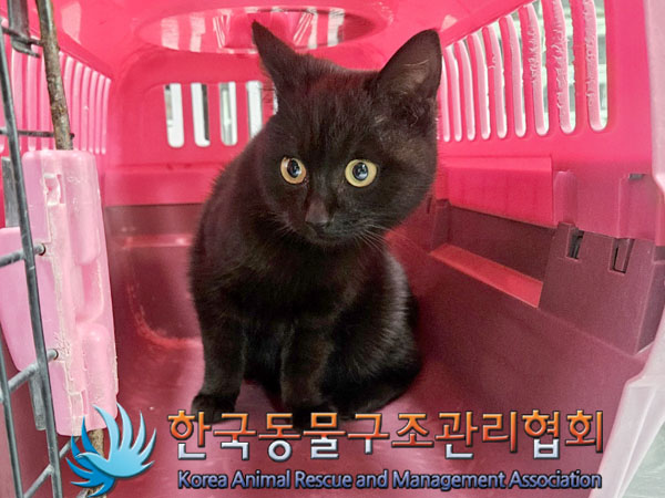 한국동물구조관리협회_411317202400001