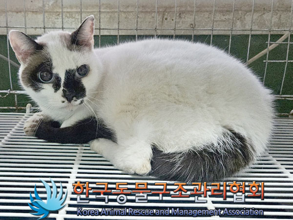 한국동물구조관리협회_441392202400003