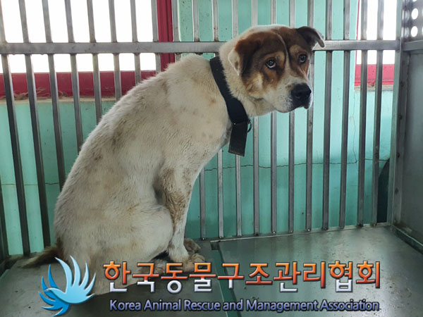 한국동물구조관리협회_441414202400005