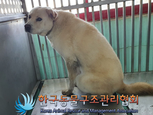 종료(안락사) 믹스…