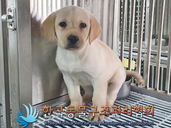 한국동물구조관리협회_411312202400001