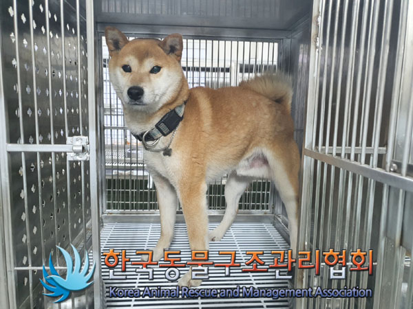 한국동물구조관리협회_441560202400011