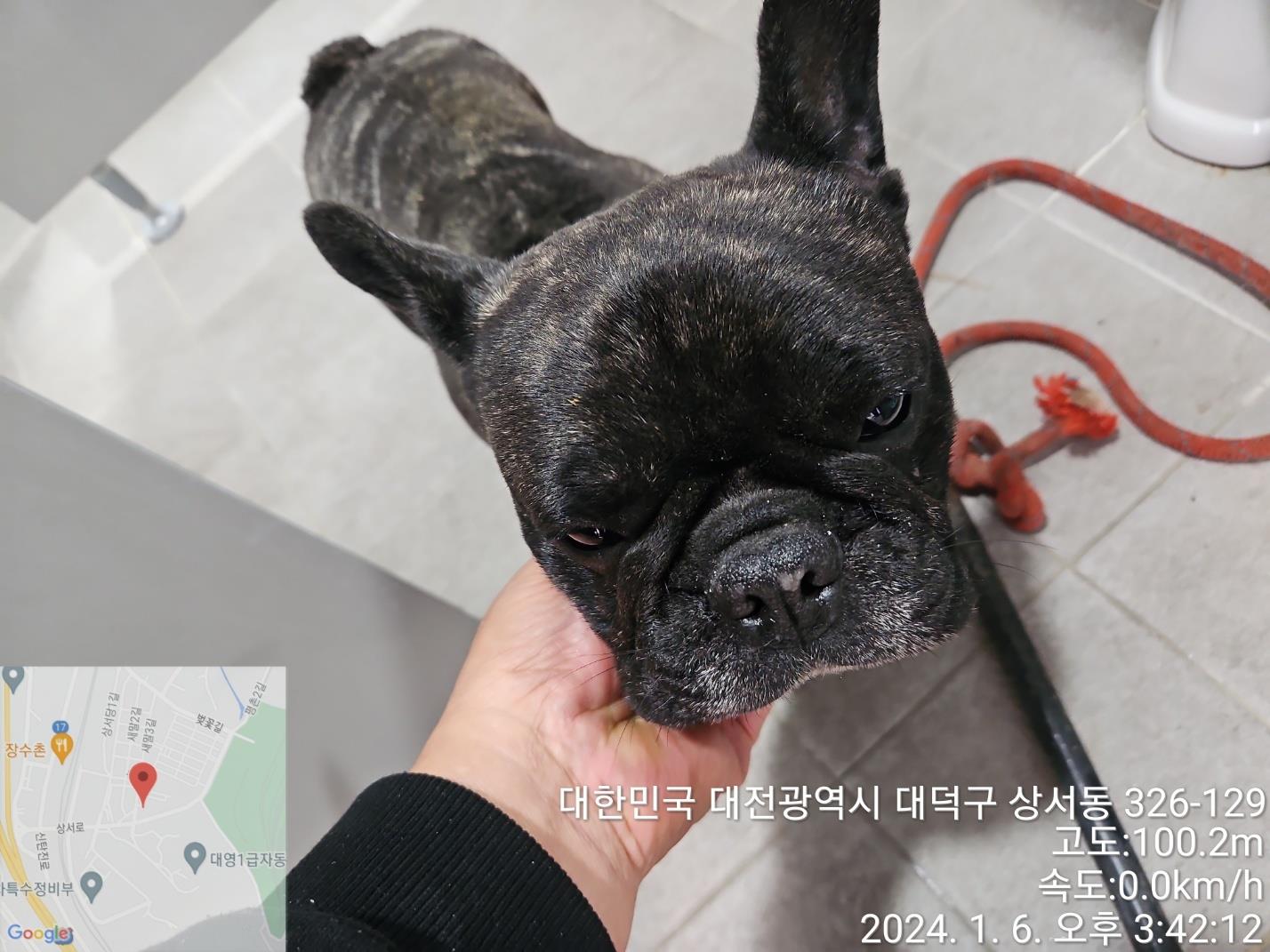 종료(반환) 프렌치…