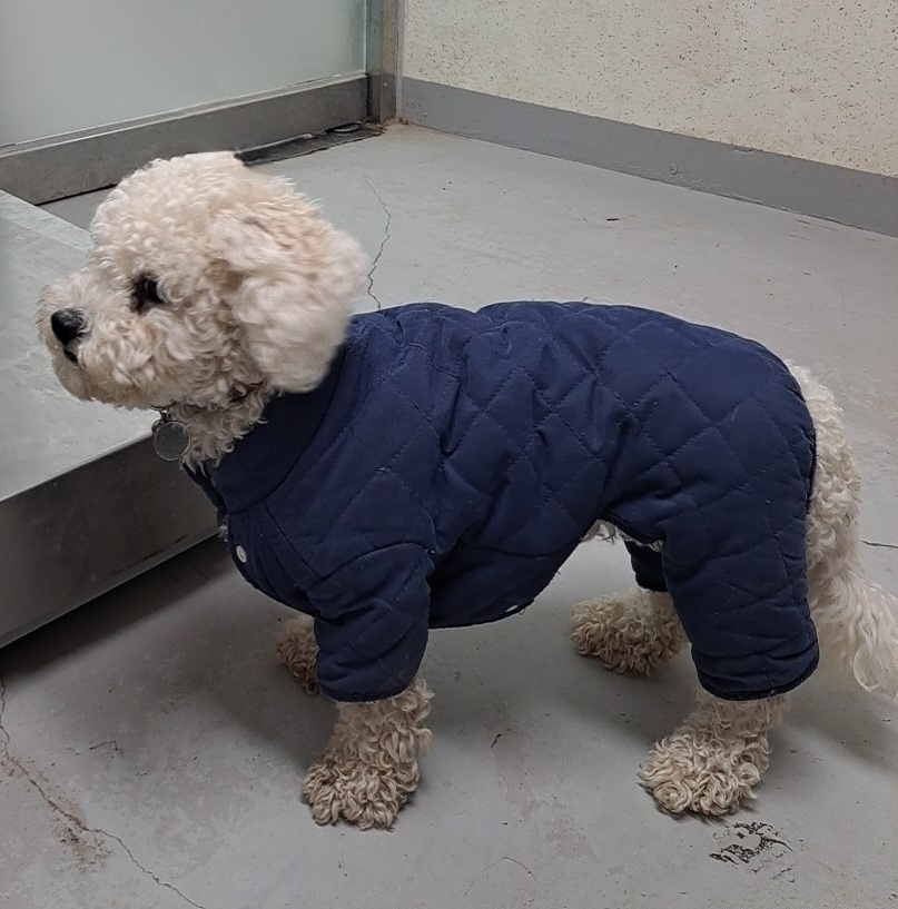 수원시 동물보호센터_441374202400014