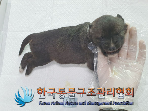 종료(자연사) 믹스…