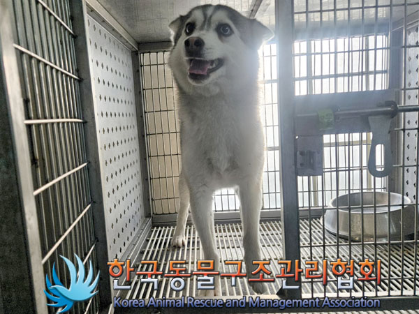 종료(반환) 시베리…
