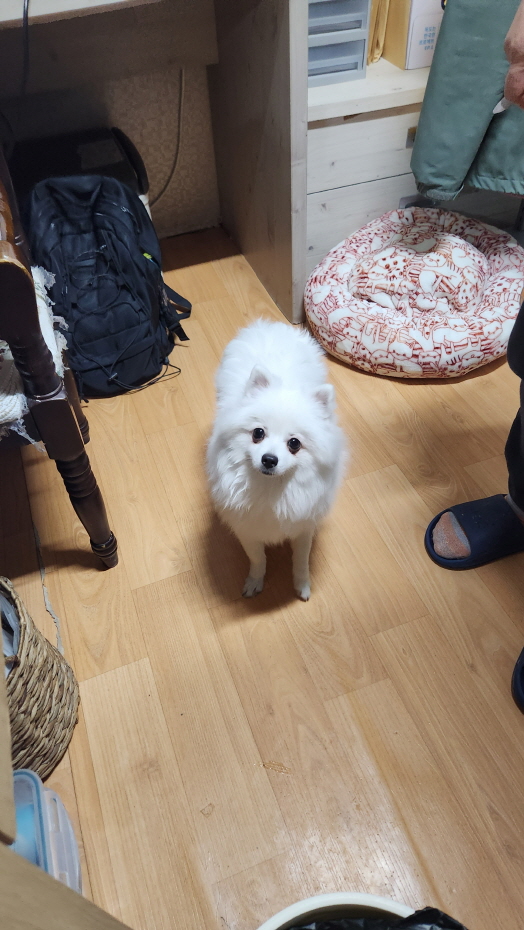 익산유기동물보호소_445468202400053