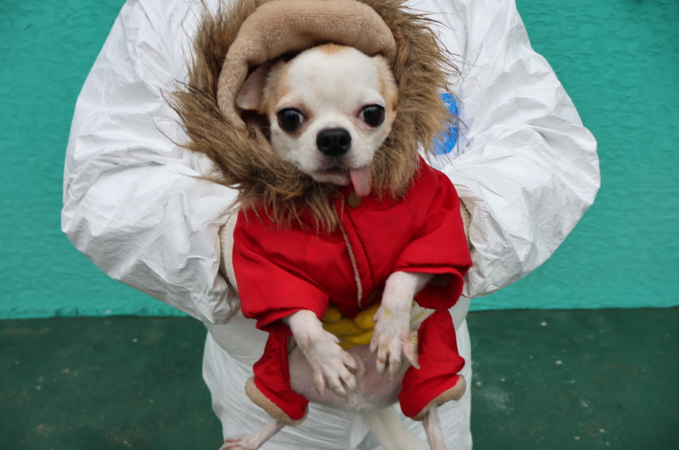 제주 동물보호센터_450650202400069