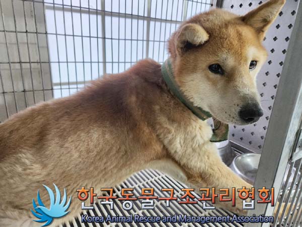 한국동물구조관리협회_441560202400016