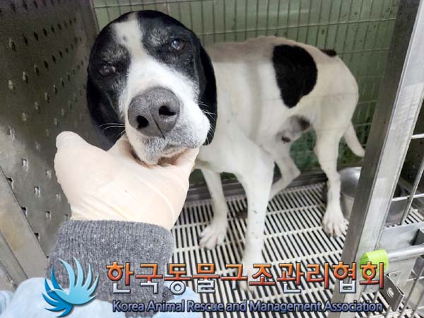 종료(안락사) 포인…