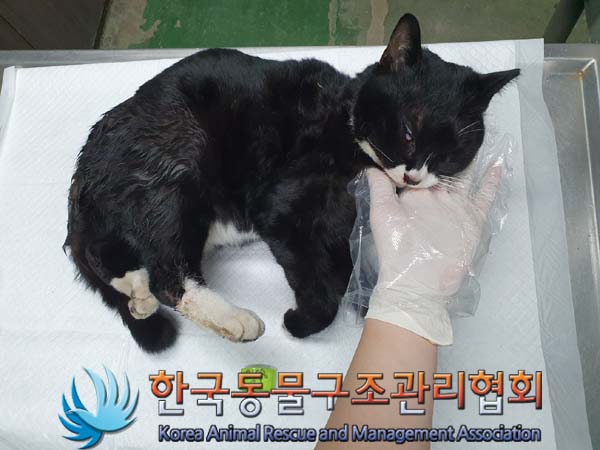 종료(자연사) 한국…