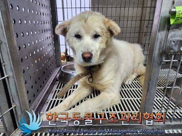 한국동물구조관리협회_441406202400026