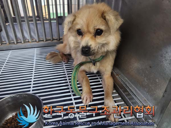 한국동물구조관리협회_441406202400037