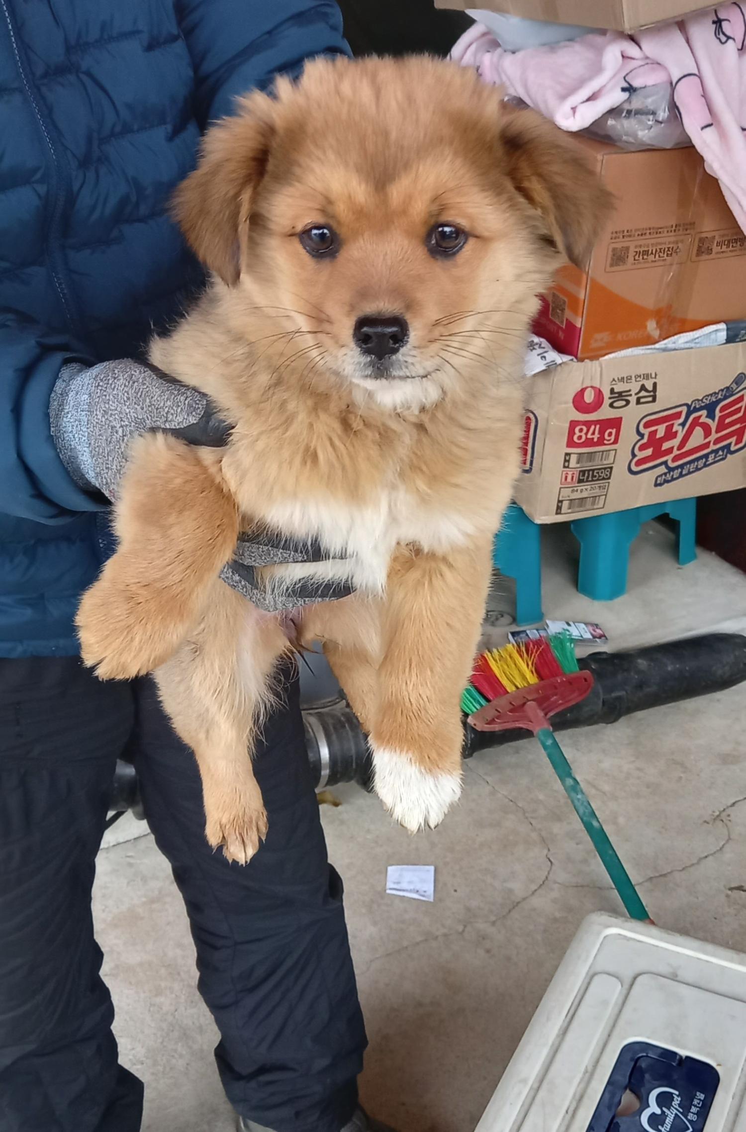 금일동물보호센터_444460202400014