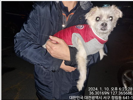 대전동물보호센터_430366202400006