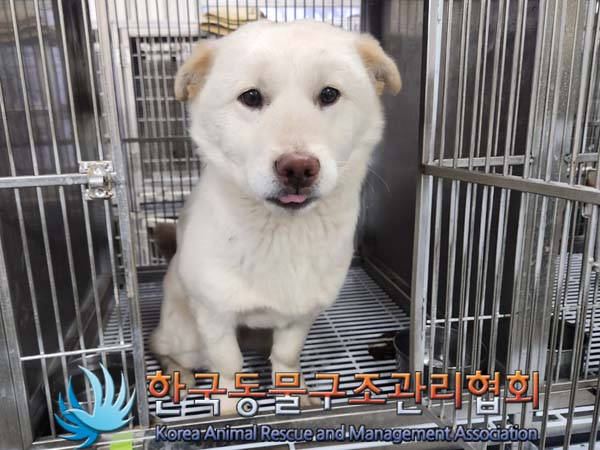 종료(안락사) 믹스…