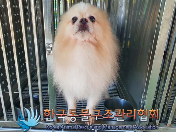 한국동물구조관리협회_441392202400011