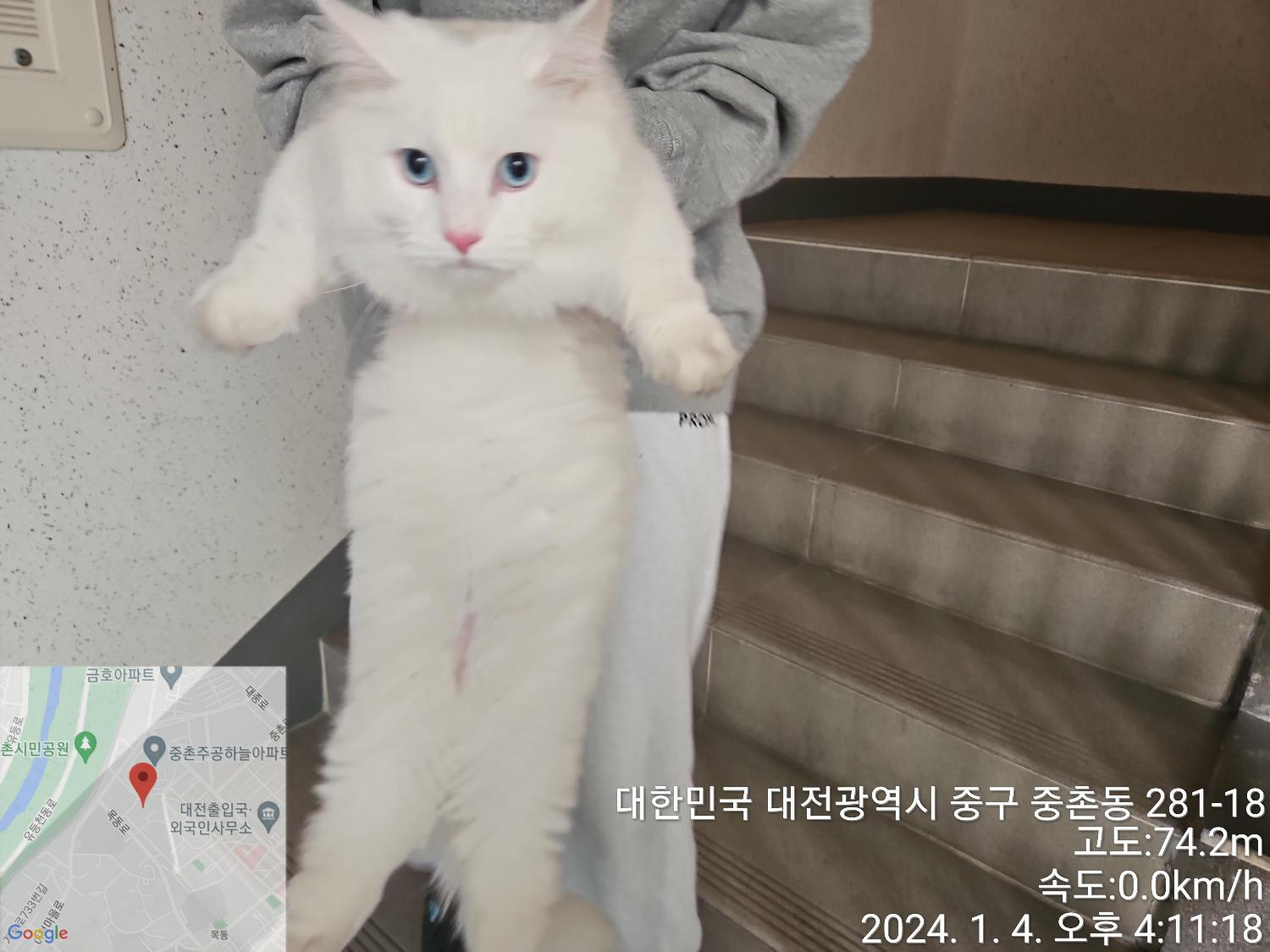 종료(반환) 페르시…