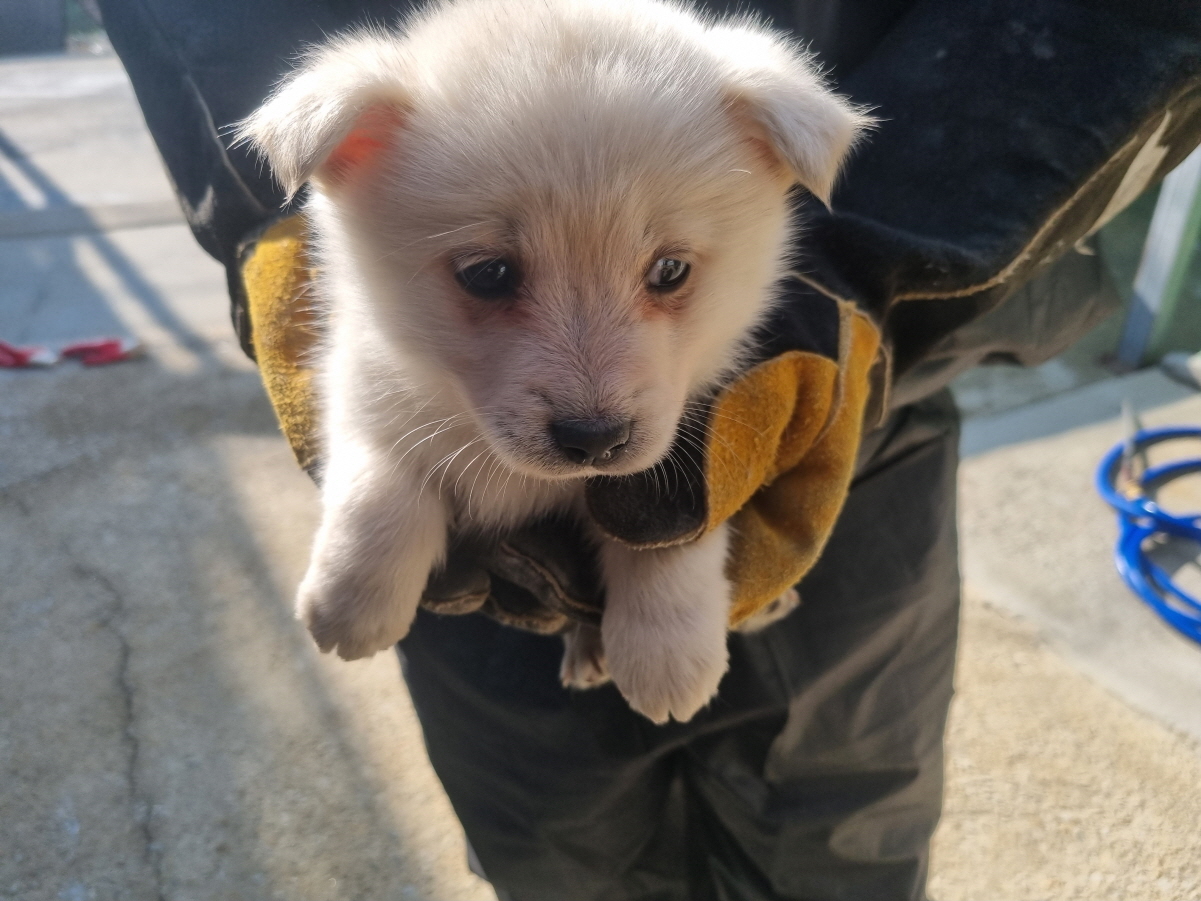 양산시 동물보호센터_448538202400004