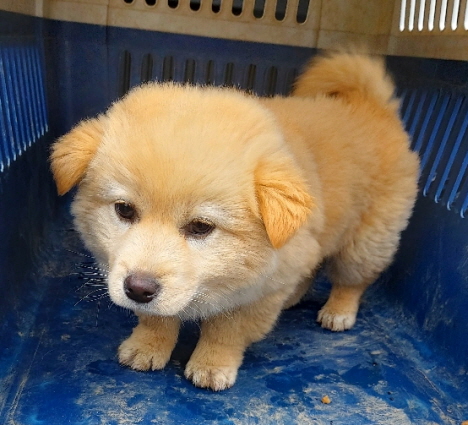 제일동물병원_444455202400016