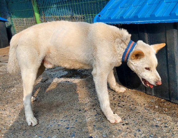 제일동물병원_444455202400017