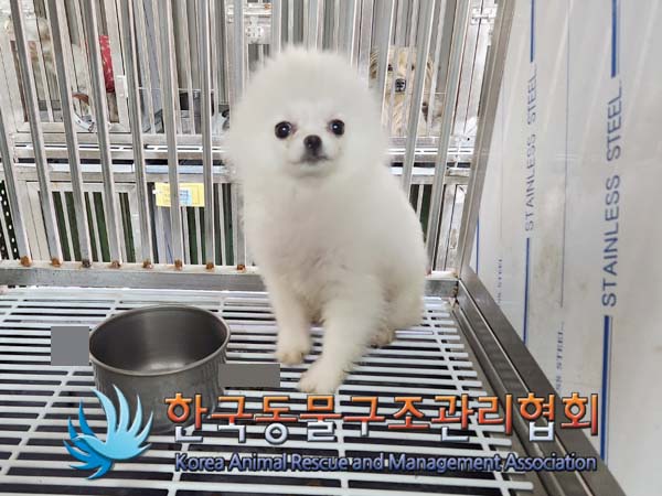한국동물구조관리협회_411311202400002
