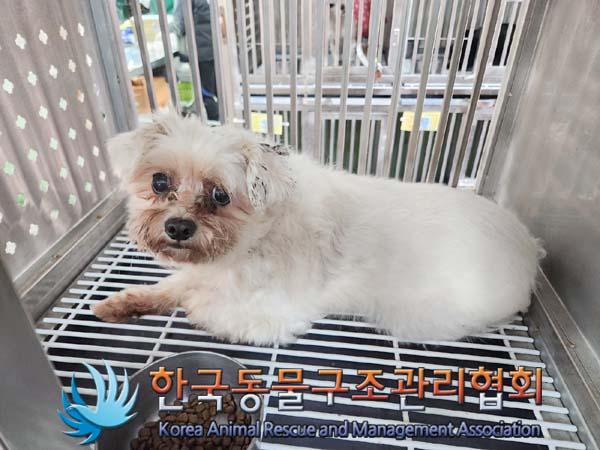 한국동물구조관리협회_411307202400001