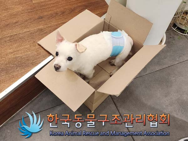 한국동물구조관리협회_411309202400006