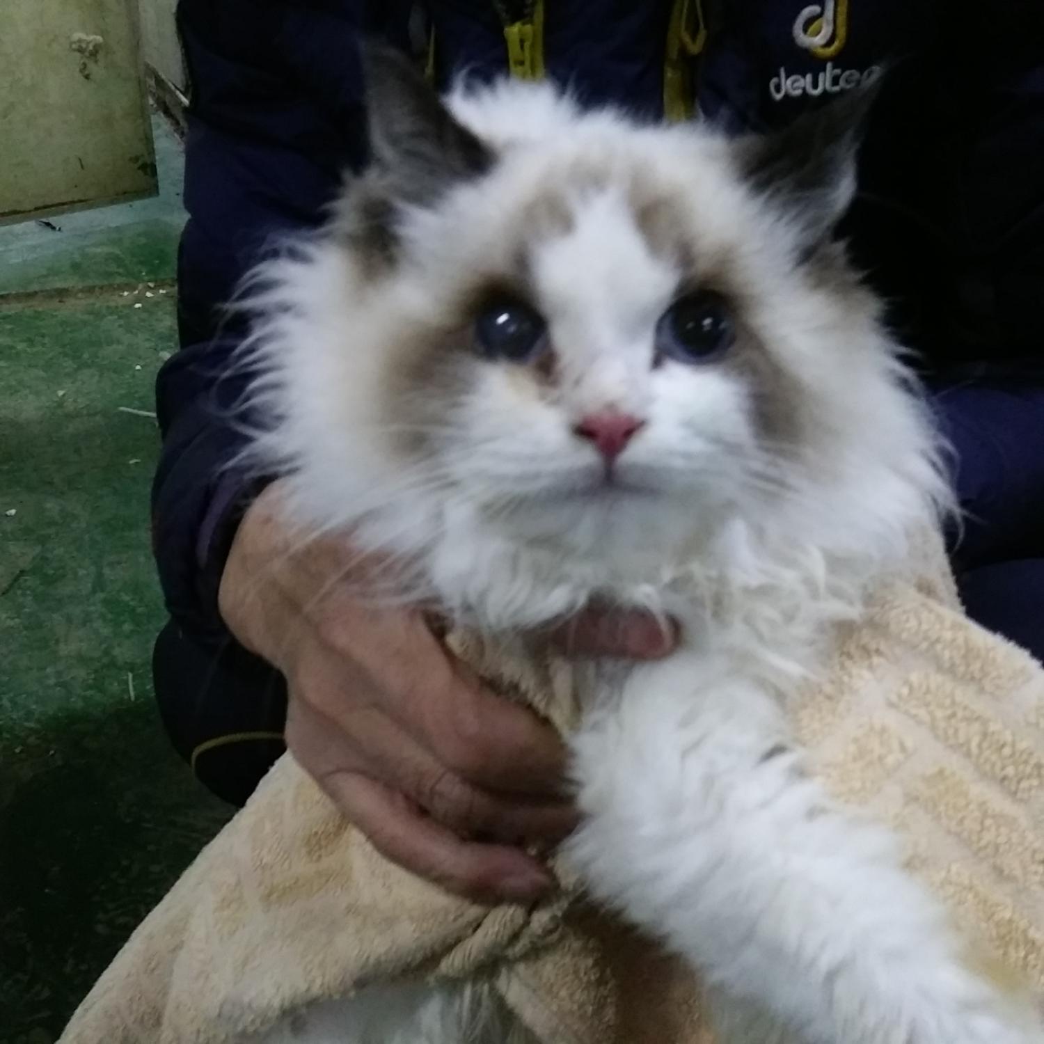 인천광역시수의사회_428353202400015