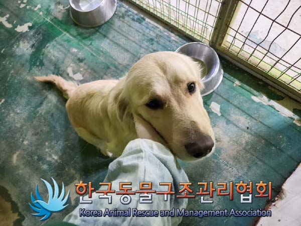 한국동물구조관리협회_441559202400030