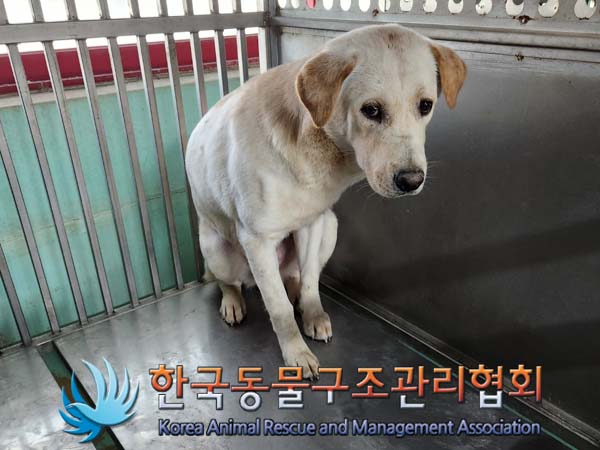 종료(안락사) 믹스…