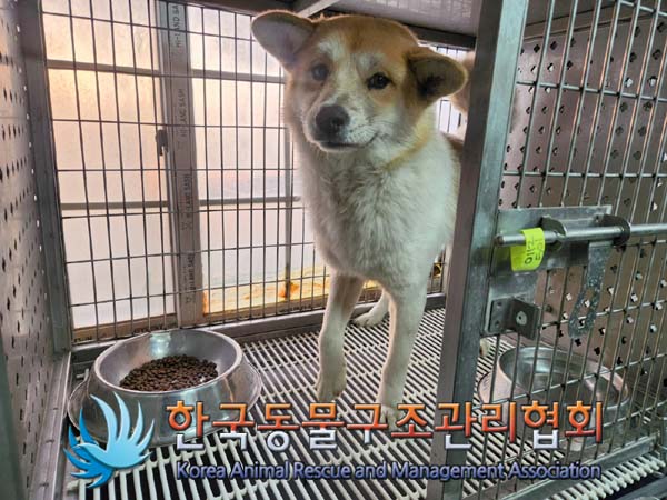 한국동물구조관리협회_441406202400052