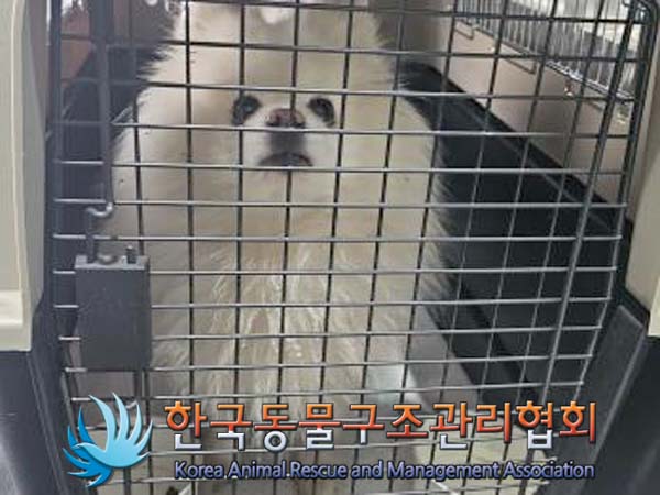 한국동물구조관리협회_411315202400010