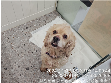 종료(반환) 코카 …