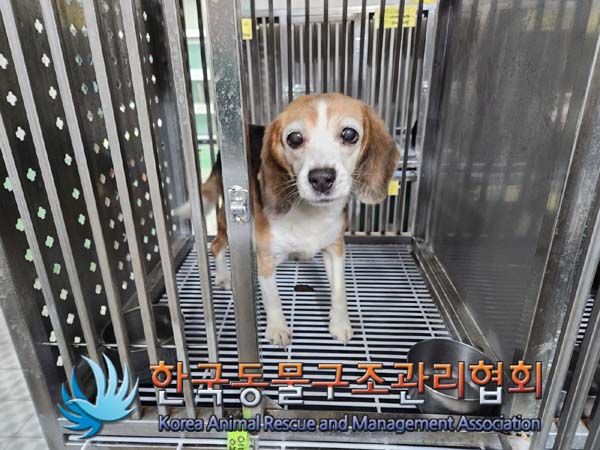 한국동물구조관리협회_411309202400007