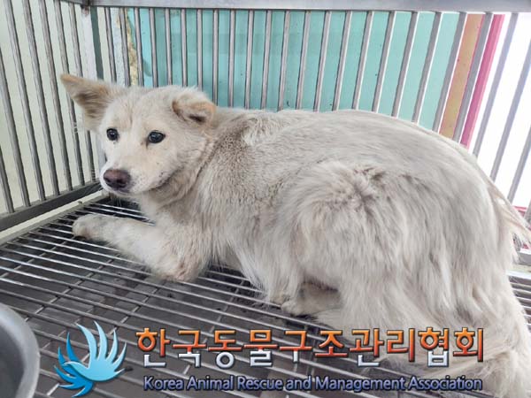 한국동물구조관리협회_441414202400020