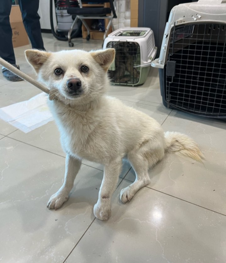 반려동물보호센터_443571202400048