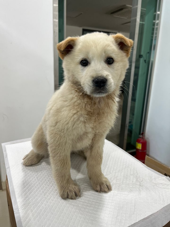 반려동물보호센터_443571202400049